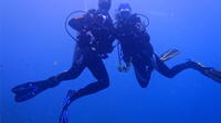 Certified Scuba Diving Day Tour in Koh Samui