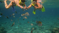 Cozumel Snorkel Adventure from Cancun