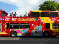 City Sightseeing Derry Hop-On Hop-Off Tour