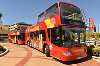 City Sightseeing Johannesburg Hop-On Hop-Off Tour