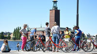 Best of Stockholm City and the National City Park Bike Tour
