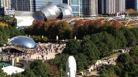 Private Führung durch Chicago - Deluxe-Reisebus für 12 - Internationale Sprachen Private Führung durch Chicago - Deluxe-Reisebus für 12 - Internationale Sprachen