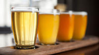 Summit County Colorado Bike and Brews Visite guidée Jour