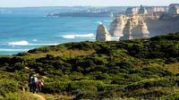 Boutique Great Ocean Road Day Trip from Melbourne with Optional Reserve Seating Upgrade