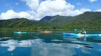 Cape Tribulation Sea Kayaking Tour