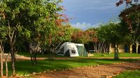 5-Day Etosha National Park on a Budget Tour from Windhoek