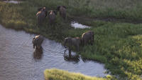 5-Day Luxury Tour of Etosha National Park from Windhoek