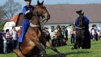 Full-Day Private Tour to Debrecen and Hortobagy National Park from Budapest