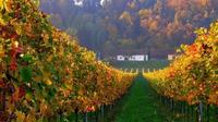 Wine and History Tour to Villany and Pecs from Budapest - Heritage of Hungary 