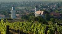 Wine Tasting Tour to Tokaj from Budapest - Heritage of Hungary