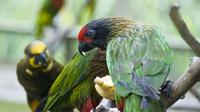 Kuala Lumpur Private Half Day Family Tour with Nature Birds and Butterflies