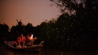 Kuala Selangor Firefly Tour including Seafood Dinner