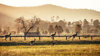 Behind-The-Scenes Private Luxury Hunter Valley Winery Tour