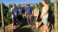 Potpourri Wine Tasting Tour in Stellenbosch