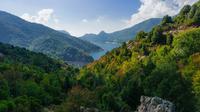 Ajaccio Shore Excursion: Picturesque Prunelli and Mountain Train Ride