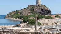 Cagliari Shore Excursion: A Taste of Sardinia Small Group Tour Including Wine Tasting