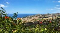 Madeira Shore Excursion: Funchal's Favourites Small Group Tour