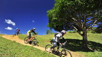 Full-Day Cebu Mountain Biking Tour