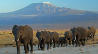 2 Days Amboseli National Park Safari