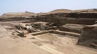 Full-Day Tour through Delta Region to Tell Basta and San El Hagar Archaeological Sites from Cairo