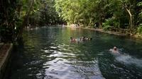 Day Tour of Ometepe Island