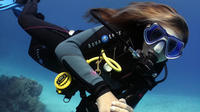 1 Day Dive Pack for Certified Divers in Sharm el Sheikh