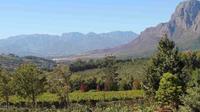 Private Full-Day Winelands Tour from Cape Town