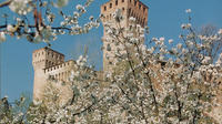 Train and Bike Day Tour from Bologna: Vineyards and Fortresses