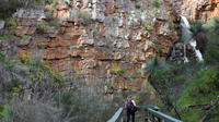 Bushwandeling met een kleine groep inclusief wijntour naar Sinclair's Gully Winery vanuit Adelaide inclusief lunch Bushwandeling met een kleine groep inclusief wijntour naar Sinclair's Gully Winery vanuit Adelaide inclusief lunch