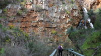 Small Group Bush Walk with Sinclair's Gully Winery Day Trip from Adelaide Including Lunch