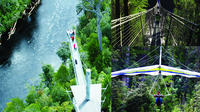 Tahune AirWalk Admission Ticket with Optional Cable Eagle Hang-Gliding image 1 Tahune AirWalk Admission Ticket with Optional Cable Eagle Hang-Gliding image 1