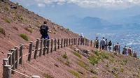 Private Day Tour from Rome to Pompeii Ruins and Mount Vesuvius with Lunch and Wine Tasting included