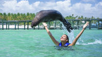 Fur Seal Encounter in Punta Cana