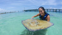 Punta Cana Sharks and Stingrays Encounter