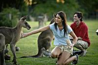 Best of Brisbane Full-Day Sightseeing Tour