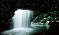 Tour de la grotte des vers luisants et pont naturel au départ de la Gold Coast