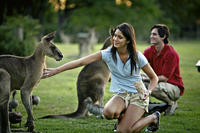 Tour turístico de día completo de lo mejor de Brisbane Tour turístico de día completo de lo mejor de Brisbane