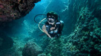 Crete Small-Group Scuba Diving Course from Chania