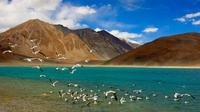9 Nights 10 Days Experience the adventure and life Full of Journeys at Leh and Ladakh