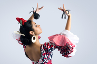 Espectáculo de flamenco en el Tablao Cantares en Madrid Espectáculo de flamenco en el Tablao Cantares en Madrid