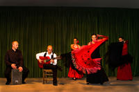 Espectáculo de flamenco en Madrid con recorrido turístico por la tarde y cena opcional