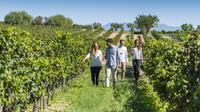 Torres Wine Cellars and Montserrat Guided Day Tour from Barcelona with Optional Sitges