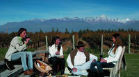 5-Day Private Tour de Mendoza