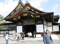 Après-midi à Nara au départ de Kyoto, with visite au temple de Todaiji, parc aux daims et temple de Kasuga