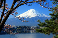 Dagtocht Mount Fuji inclusief sightseeingcruise op Lake Ashi vanuit Tokio Dagtocht Mount Fuji inclusief sightseeingcruise op Lake Ashi vanuit Tokio