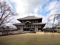 Excursion d'Une journée à Kyoto et Nara, with visite du château de Nijo