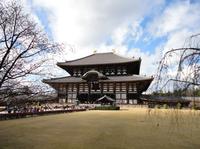 Kyoto en Nara - Dagtrip vanuit Kyoto, inclusief Nijo Castle Kyoto en Nara - Dagtrip vanuit Kyoto, inclusief Nijo Castle