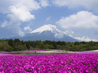 Mt Fuji Day Trip with Heritage Walking Tour from Tokyo