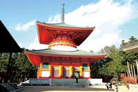 Mt Koya Tour with Overnight Stay at Fukuchi-in Temple by Rail from Osaka