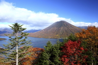 Nikko National Park - Dagtrip vanuit Tokio Nikko National Park - Dagtrip vanuit Tokio
